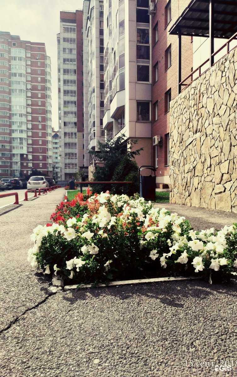 Отзывы на компанию Аптека Плюс в Красноярске c фото - фотография 2 из 2