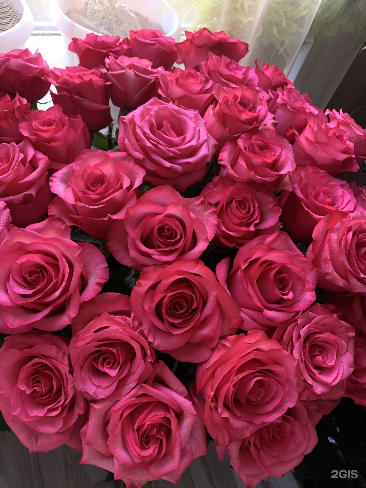 Отзывы на компанию Пыльная роза в Челябинске c фото