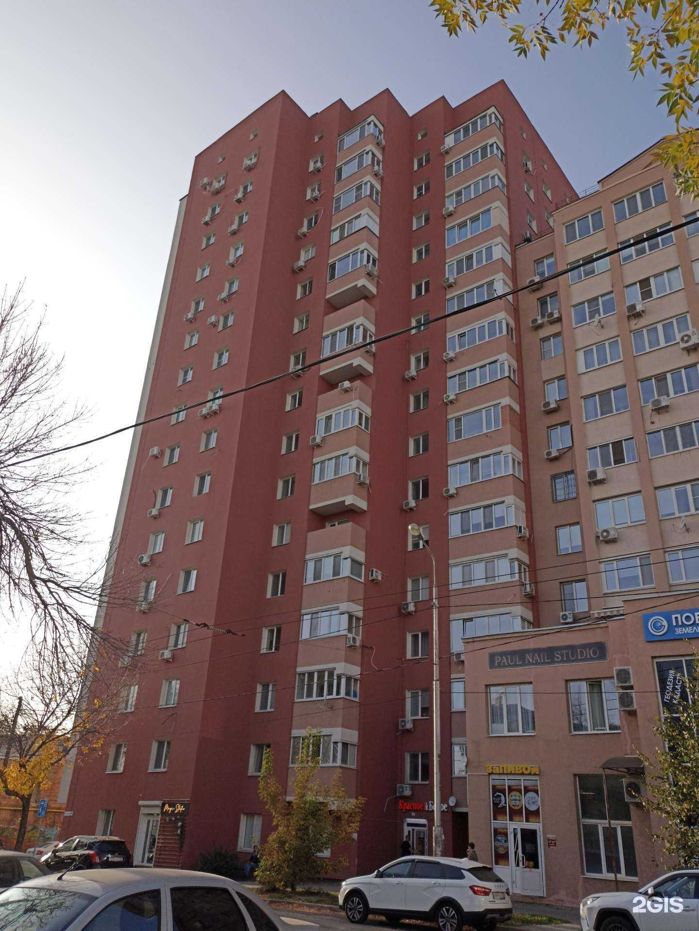 Отзывы на компанию DogMyp в Самаре c фото - фотография 2 из 2