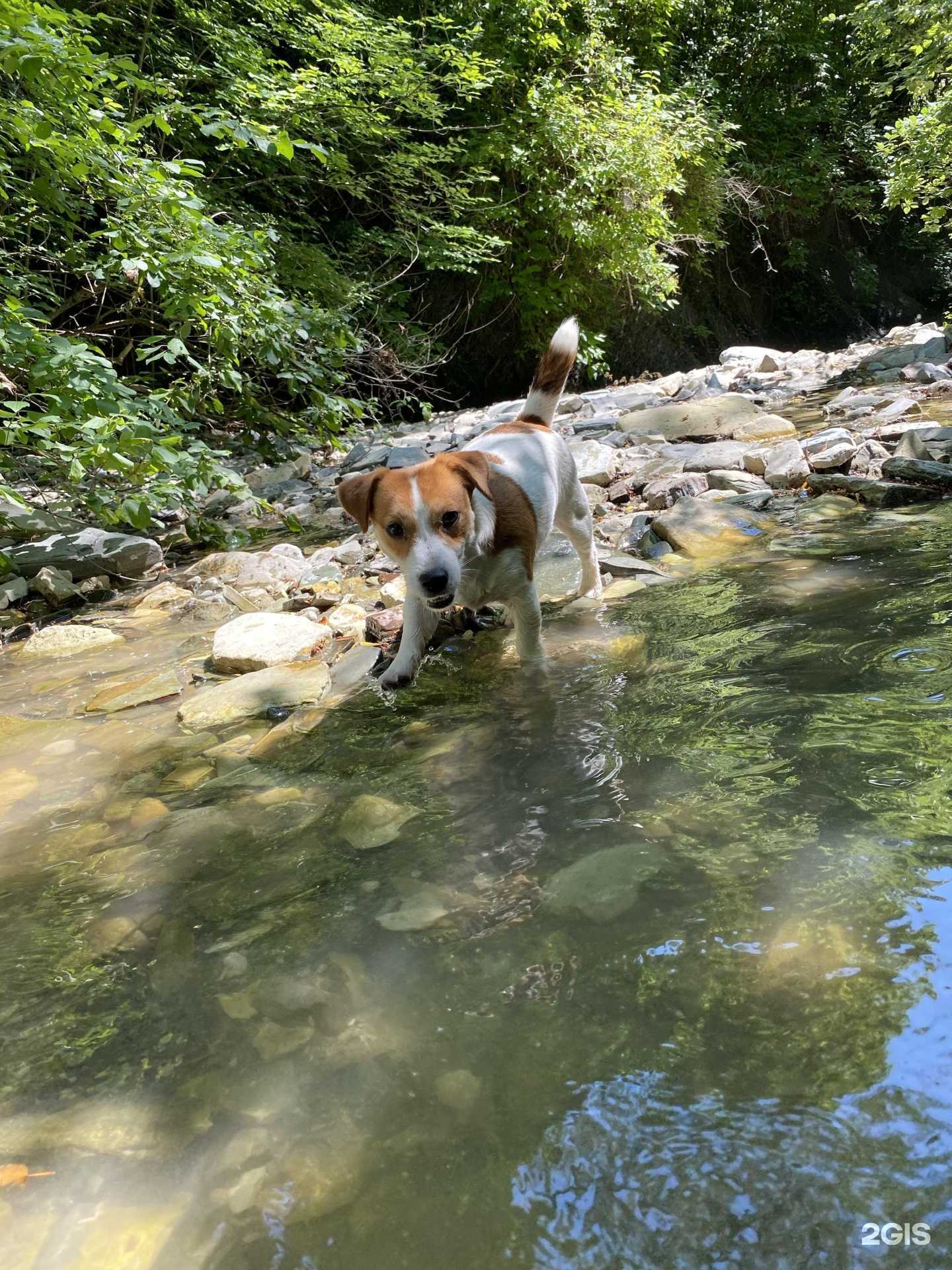 Отзывы на компанию Солнышко в Геленджике c фото