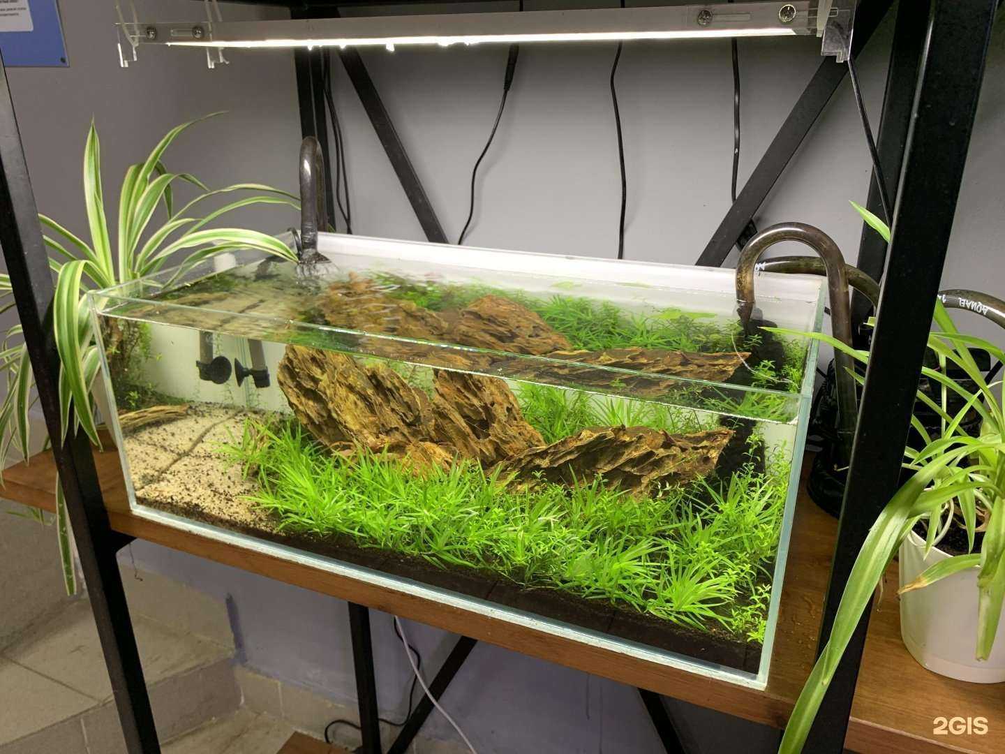 Отзывы на компанию АкваРим в Архангельске c фото