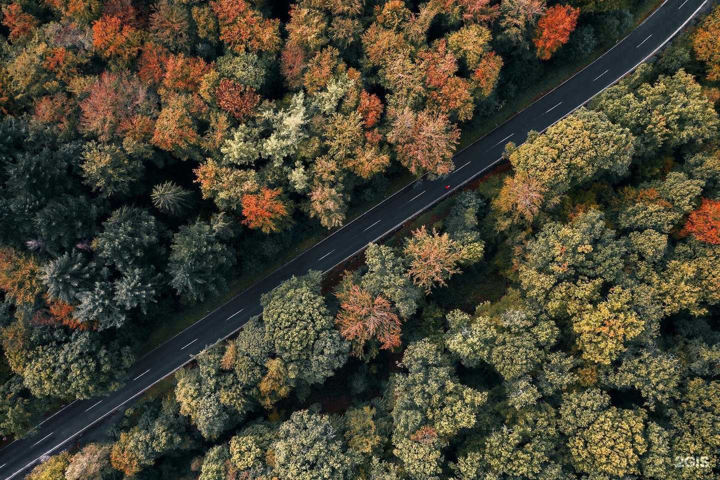 Отзывы на компанию СГСК в г. Сургут c фото