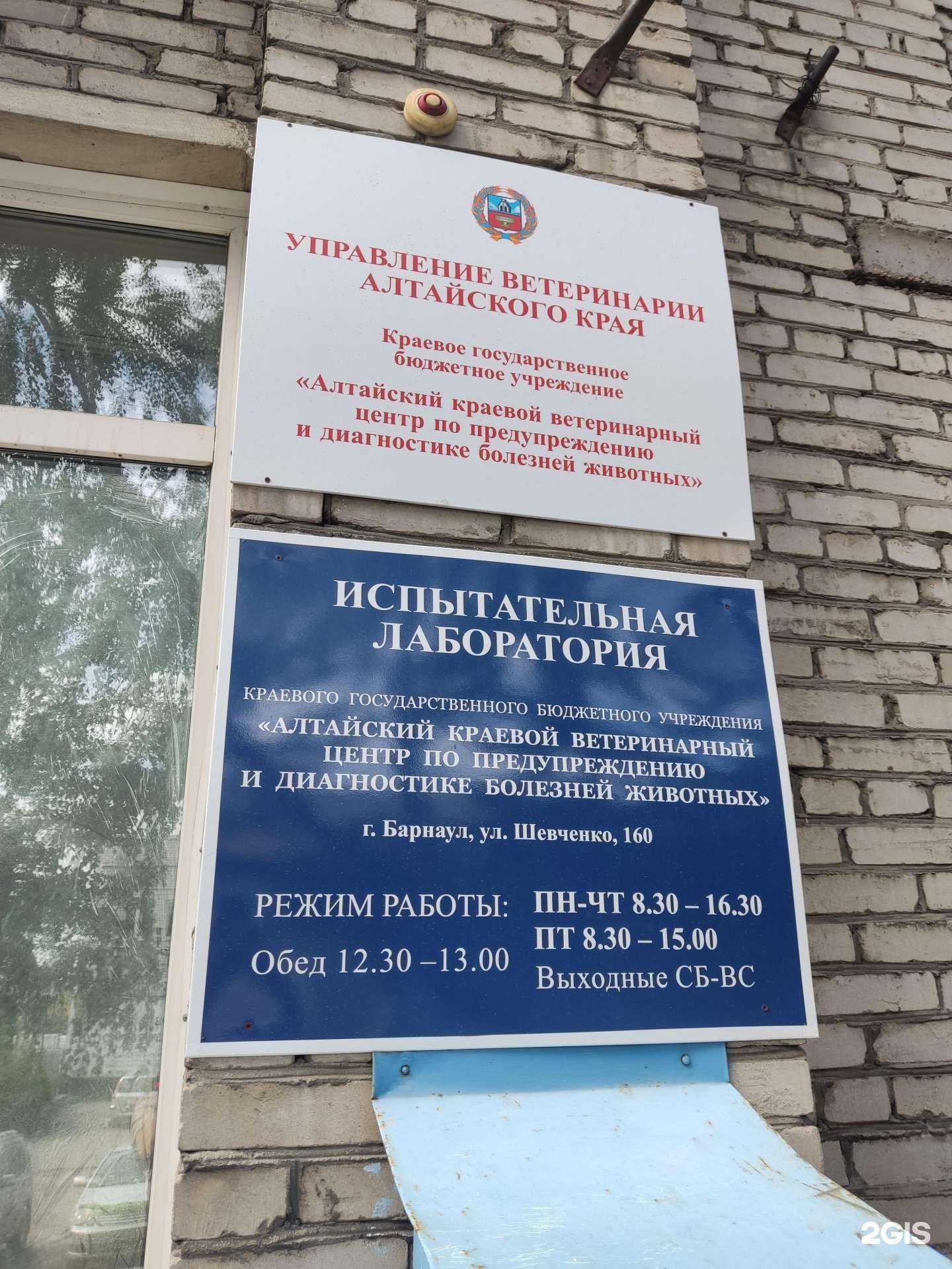 Отзывы на компанию Алтайский краевой ветеринарный центр по предупреждению и диагностике болезней животных в Барнауле c фото