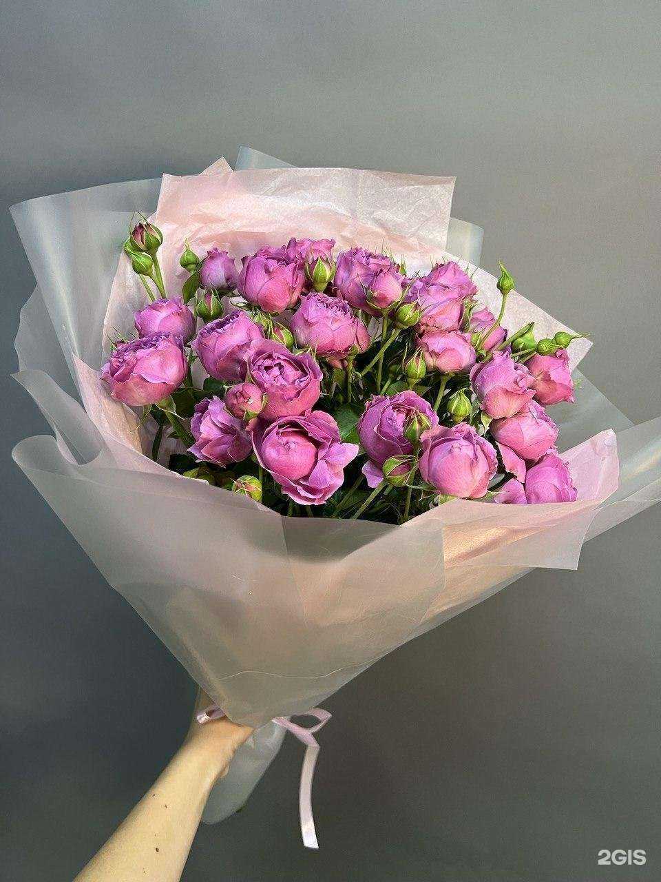 Отзывы на компанию Flo.Rista в Сочи c фото