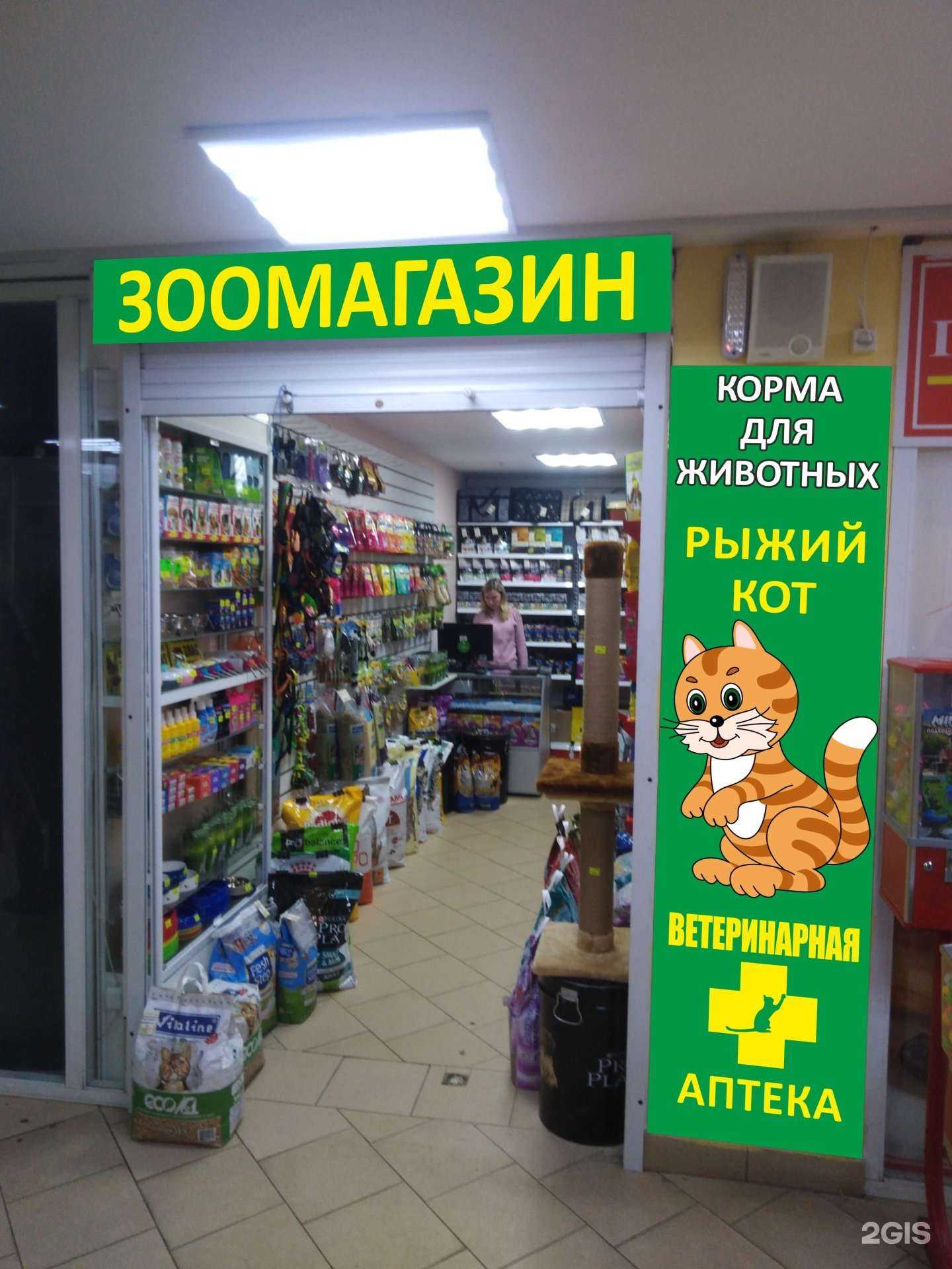 Отзывы на компанию Рыжий кот в г. Рязань c фото