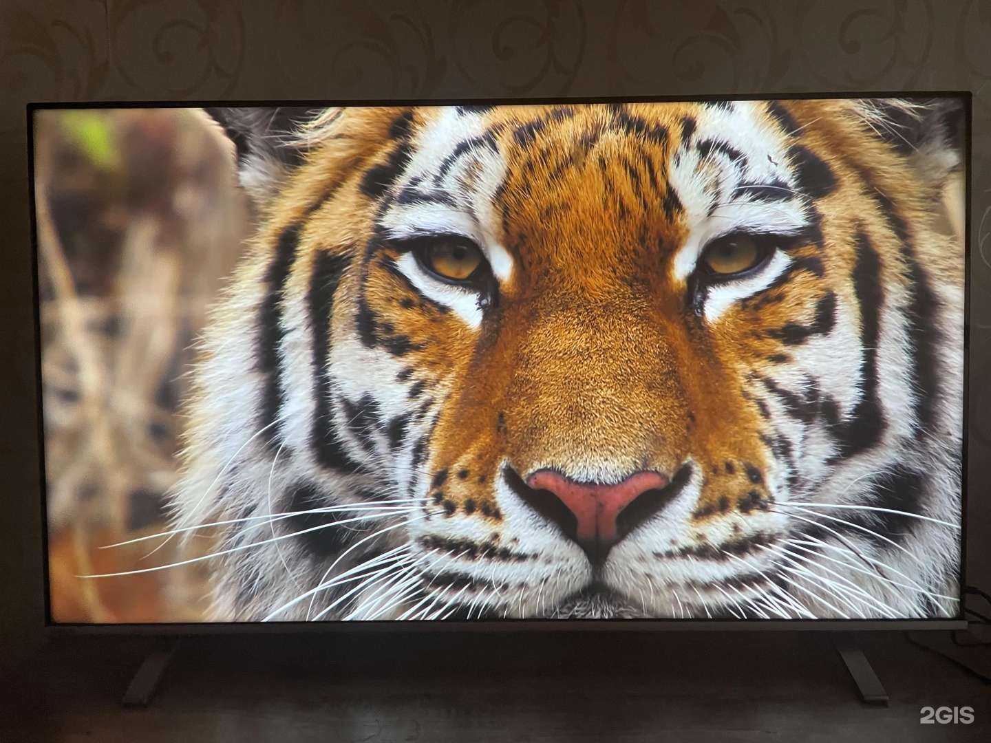 Отзывы на компанию М.Видео в Нижнекамске c фото