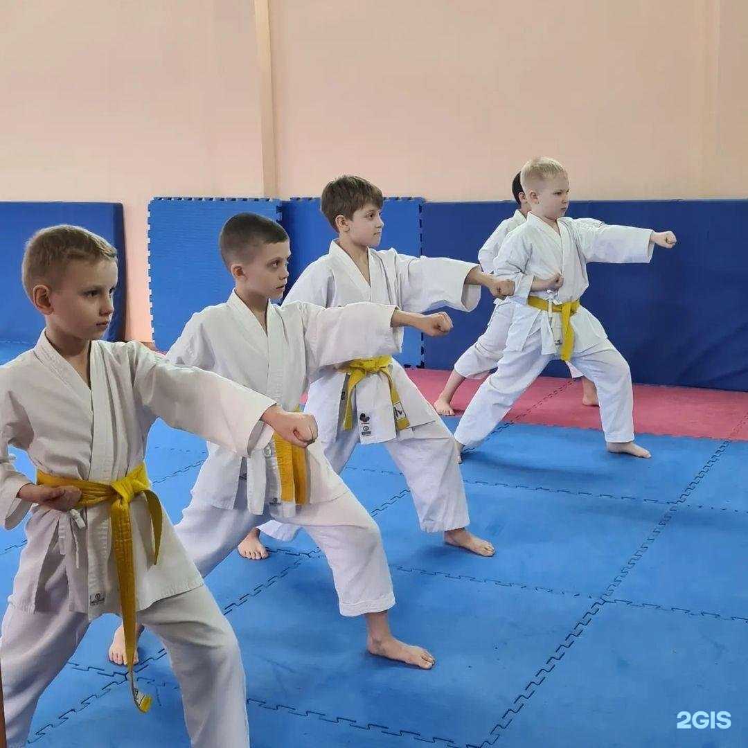 Отзывы на компанию СШОР Витязь в г. Пенза c фото