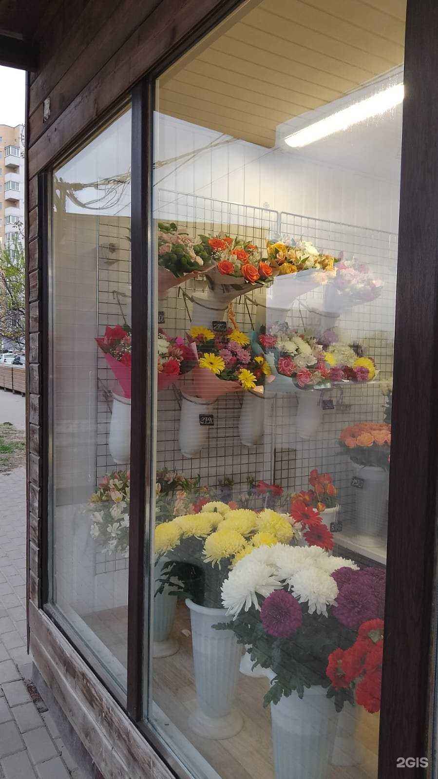 Отзывы на компанию Дон Бутон в г. Воронеж c фото