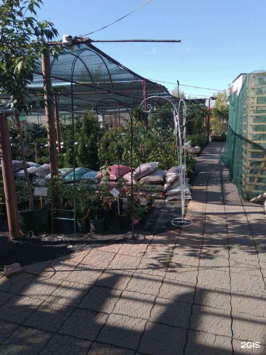 Отзывы на компанию Жарь да парь в Новосибирске c фото - фотография 2 из 2