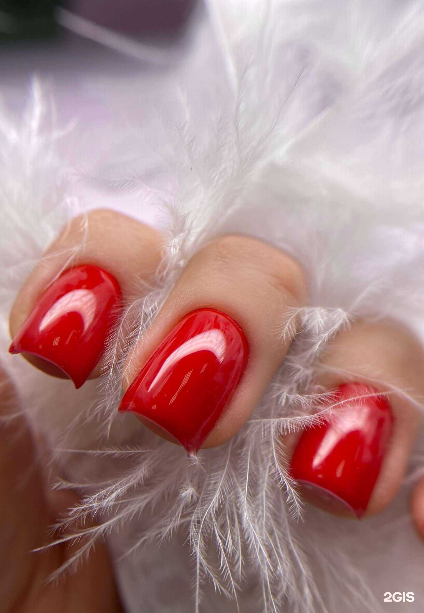 Отзывы на компанию Krasivo в Самаре c фото