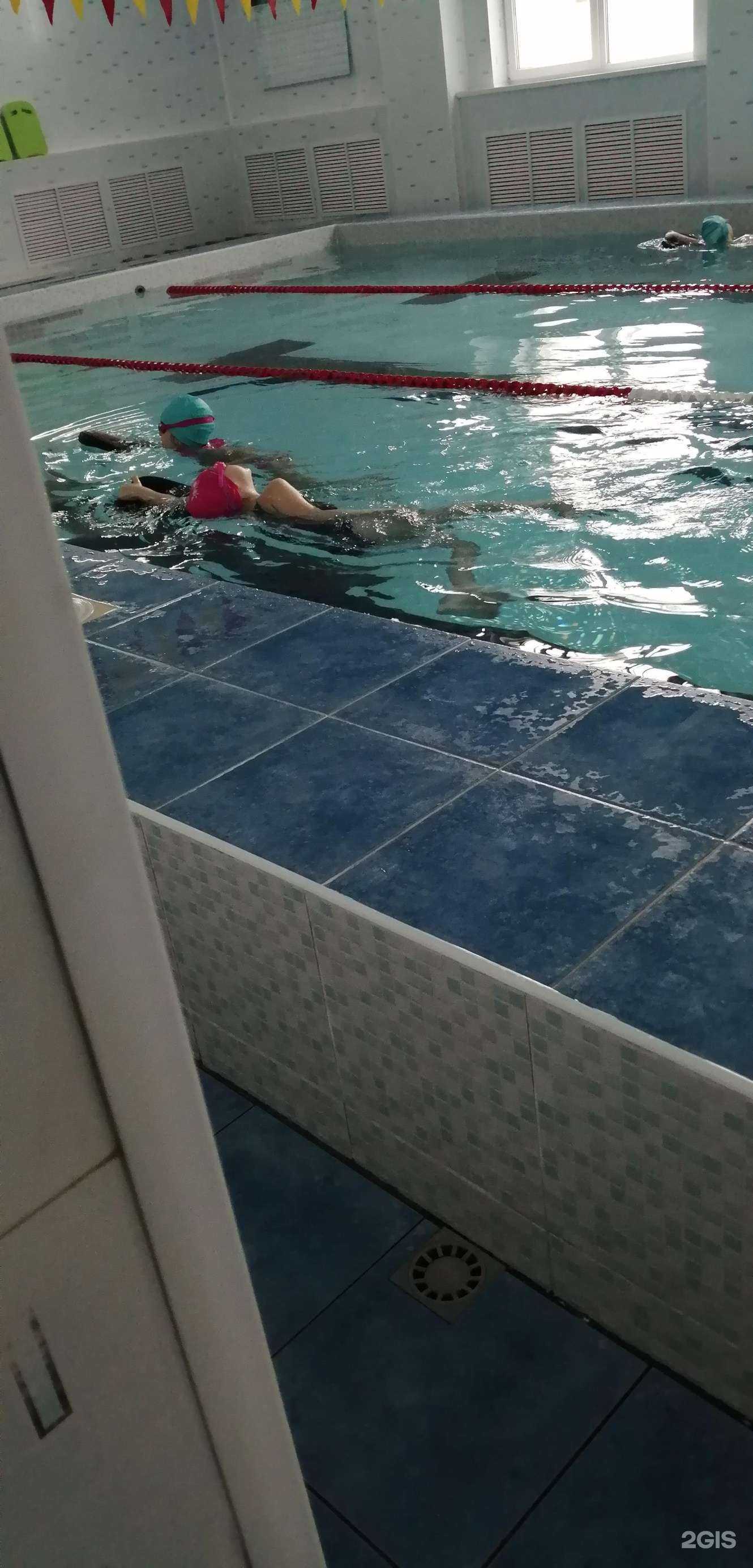 Отзывы на компанию Дельфин в г. Оренбург c фото