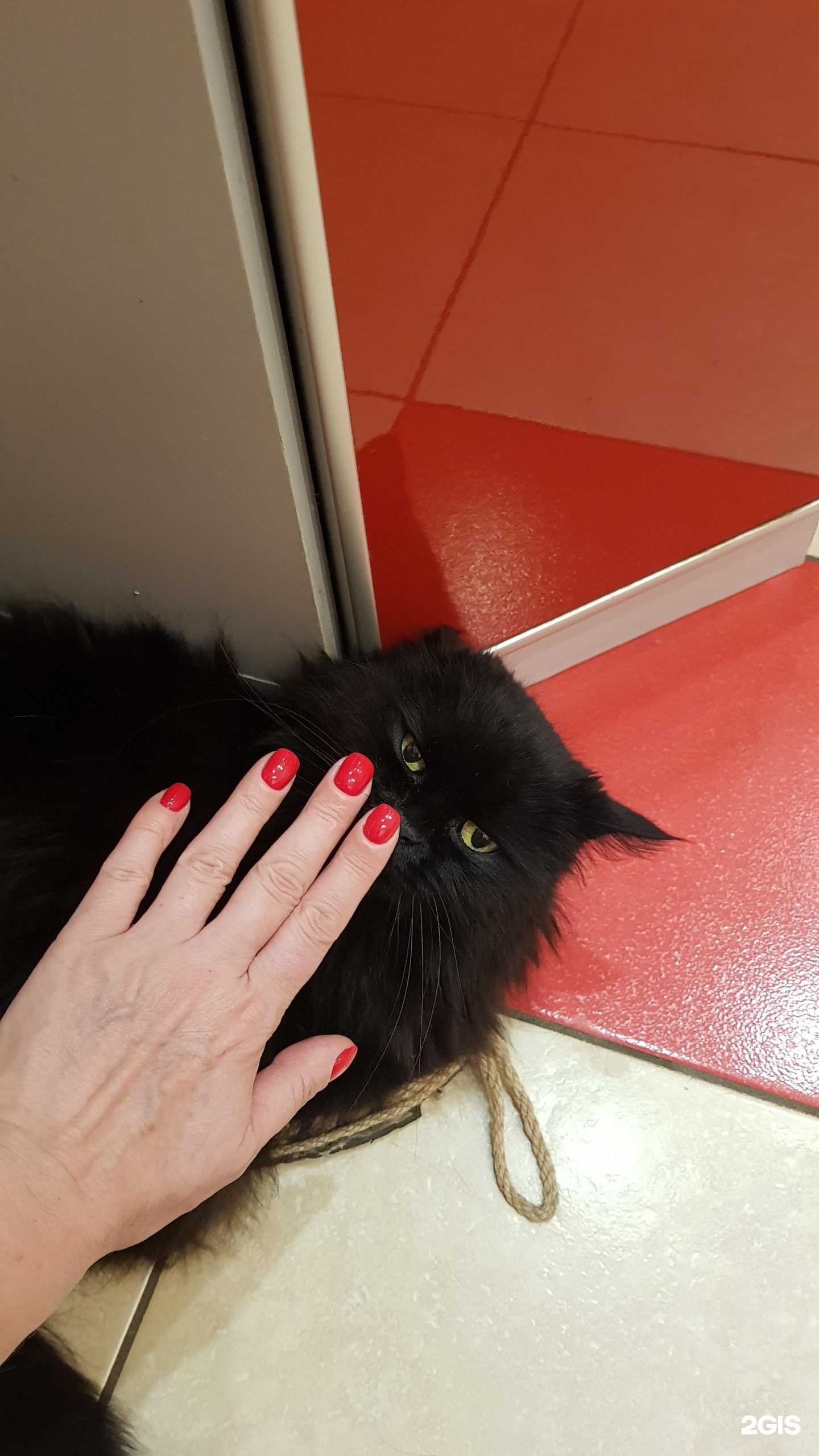 Отзывы на компанию Гранат в Туле c фото