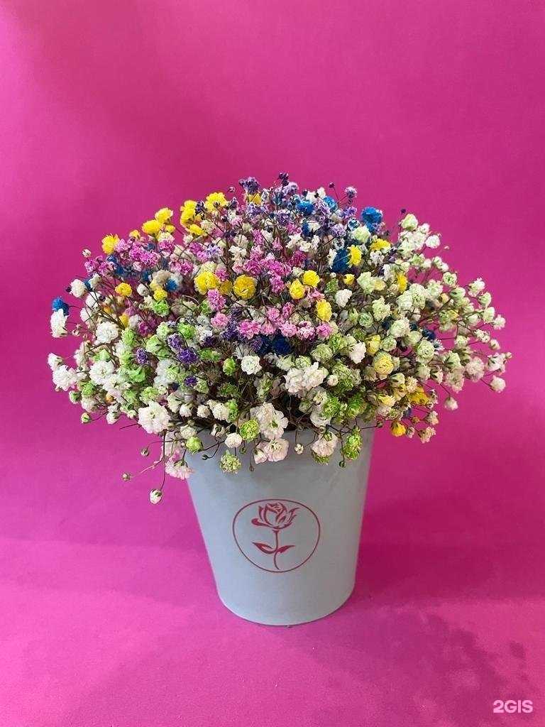 Отзывы на компанию 25 - STORE  в Сыктывкаре c фото