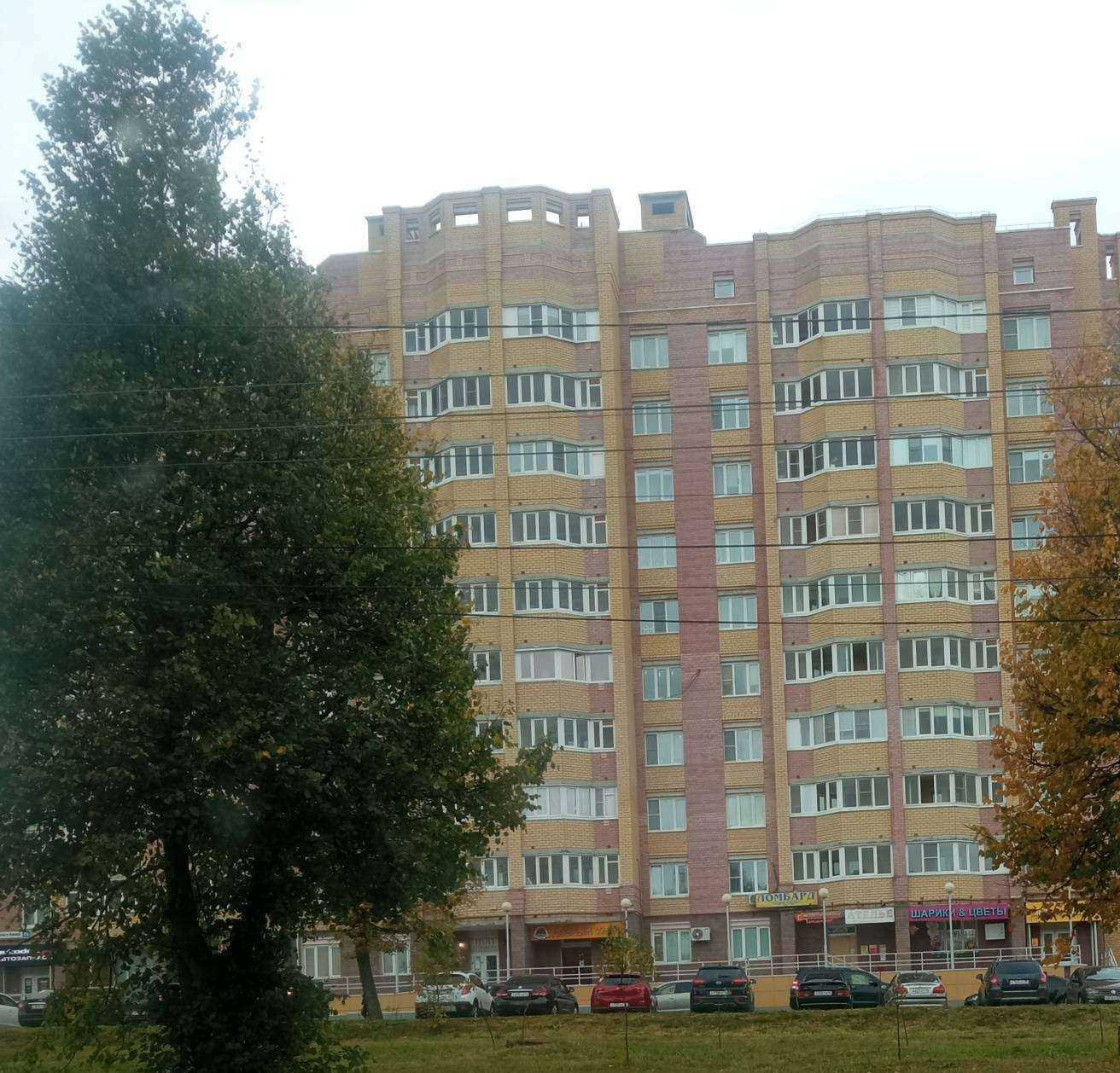 Отзывы на компанию Ситилинк в Костроме c фото