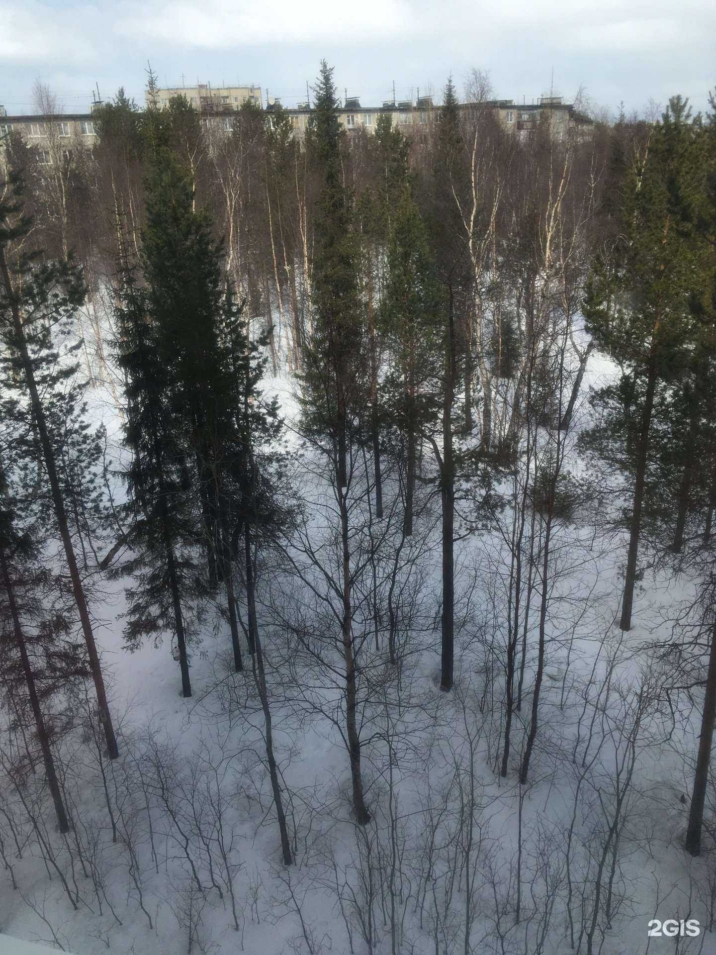 Отзывы на компанию Адвокат Сытенко П.А. в г. Мончегорск c фото