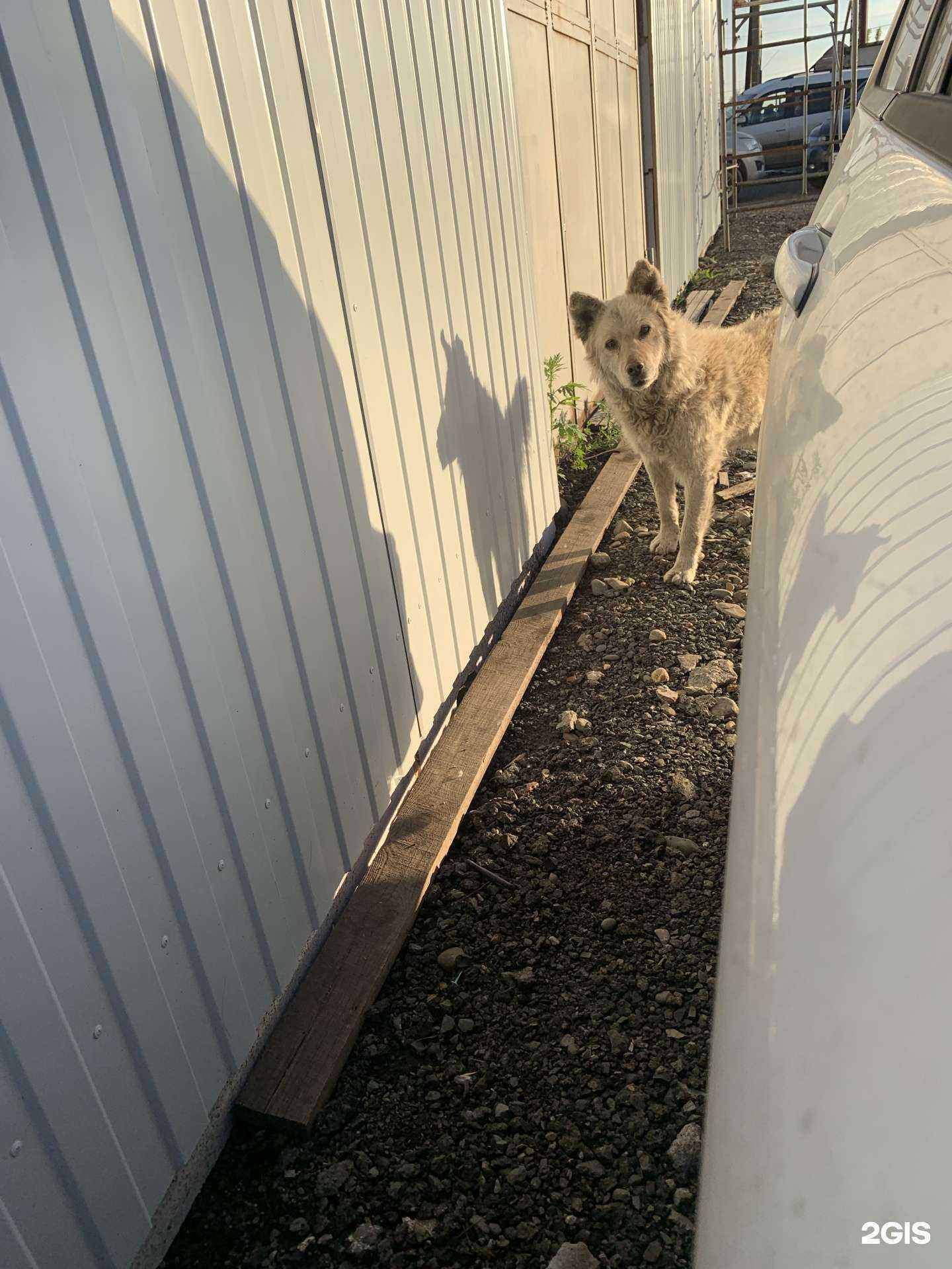 Отзывы на компанию Шашлык из тандыра в Красноярске c фото