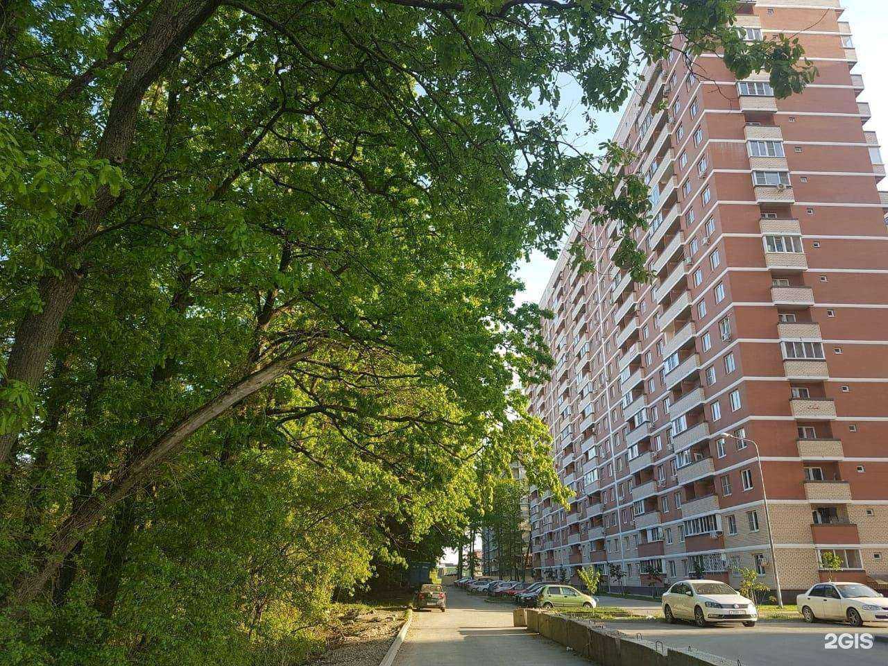 Отзывы на компанию Адвокат Ермаков С.Н. в Краснодаре c фото - фотография 2 из 2