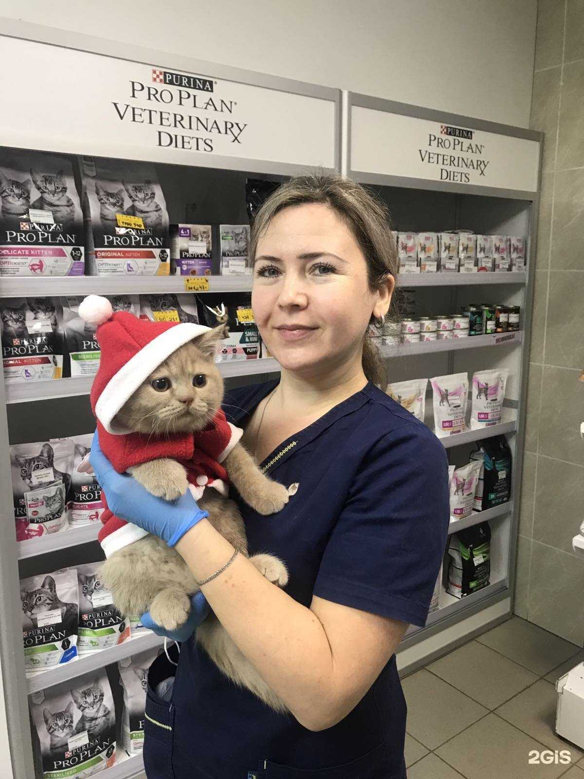 Отзывы на компанию Ника в г. Пермь c фото