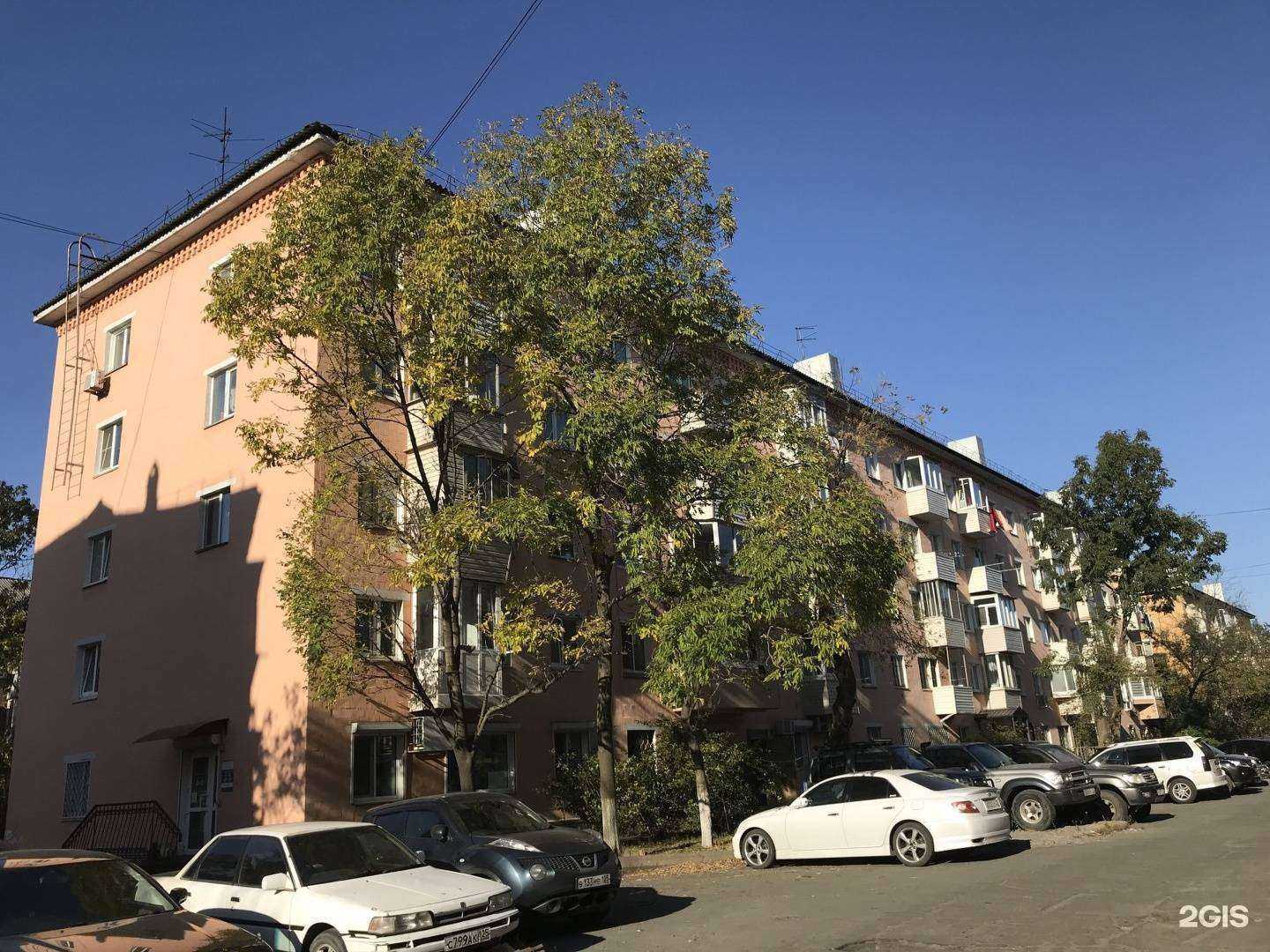 Отзывы на компанию Цветущий сад в Владивостоке c фото - фотография 2 из 2