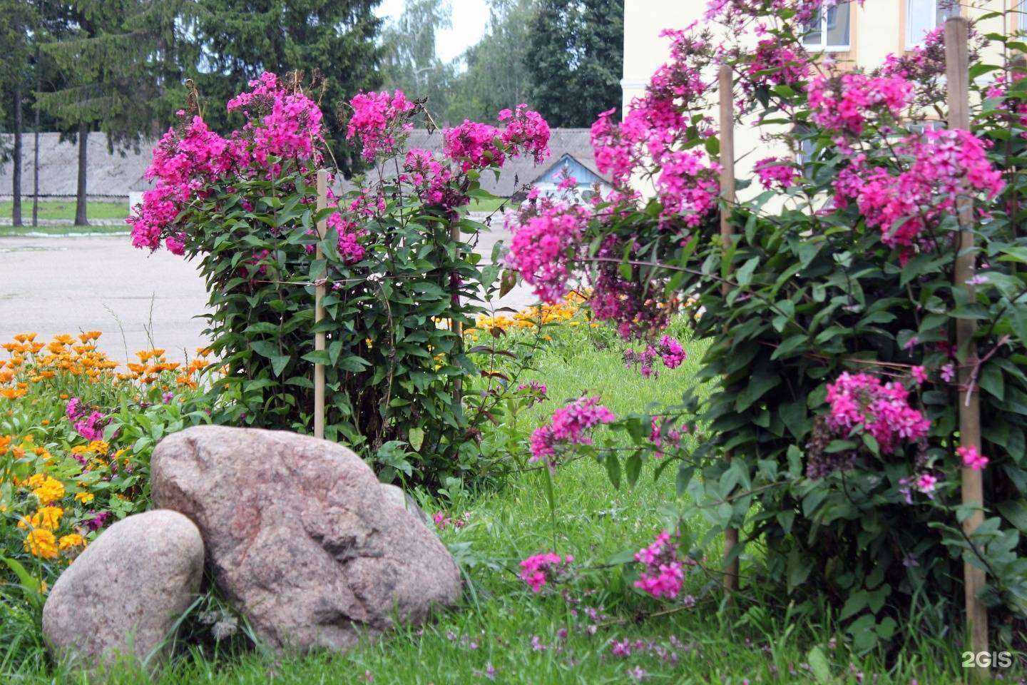 Отзывы на компанию ЦСКА Смоленск в Смоленске c фото