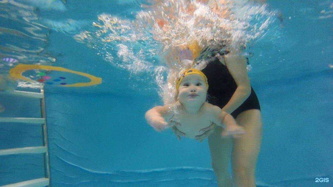 Отзывы на компанию Ква-Ква в г. Вологда c фото