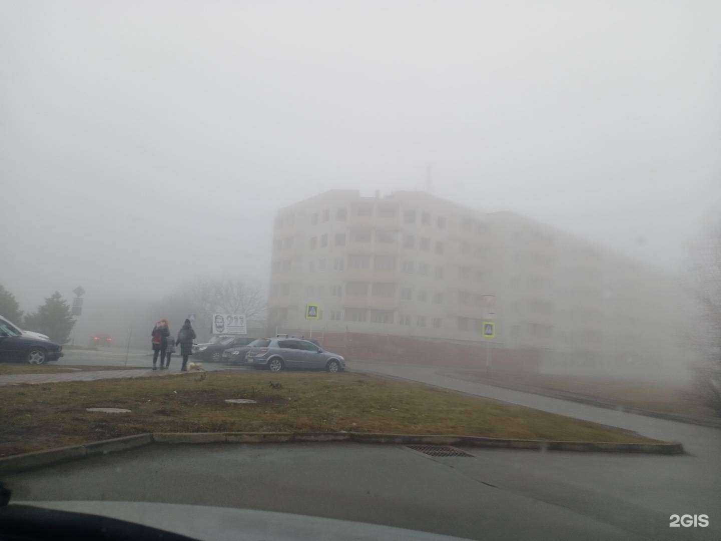 Отзывы на компанию Brunia cvetok в Ставрополе c фото - фотография 2 из 2