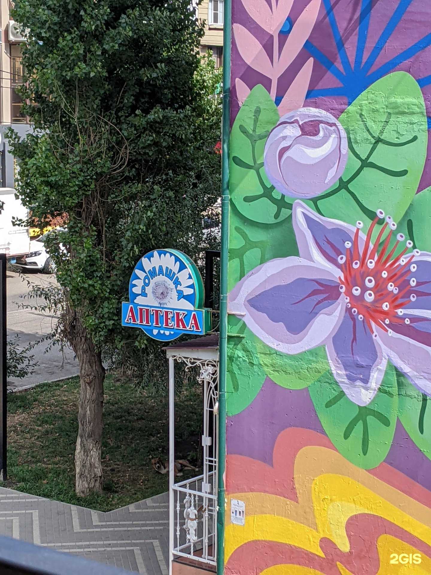 Отзывы на компанию Ромашка в г. Дербент c фото