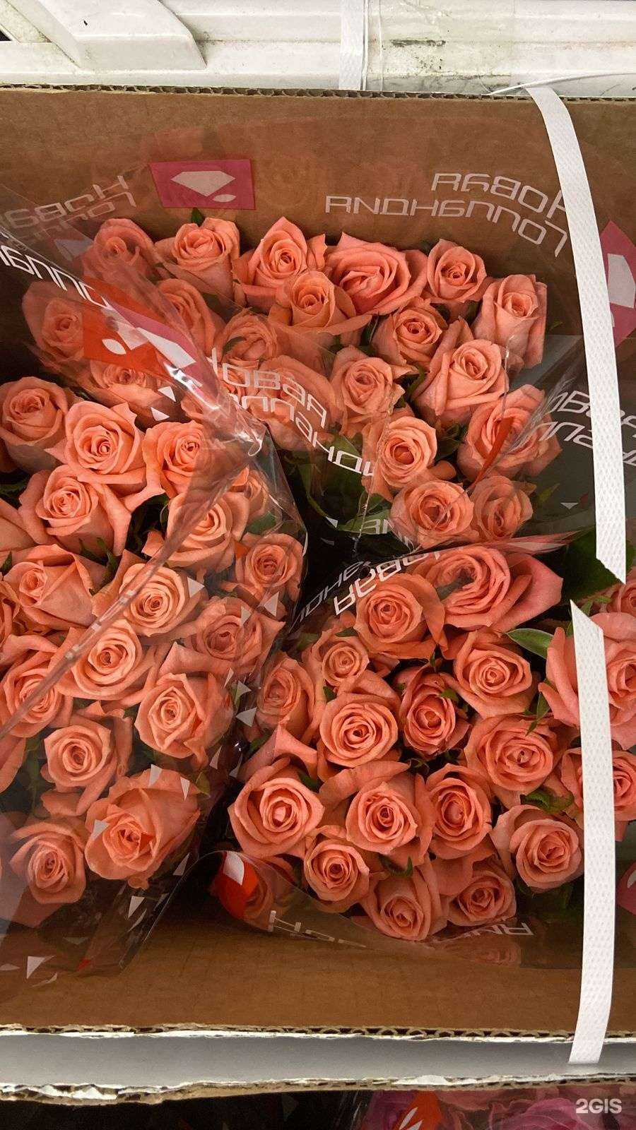 Отзывы на компанию Цветаев в Воронеже c фото