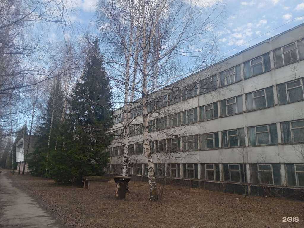 Отзывы на компанию Селина в Чебоксарах c фото