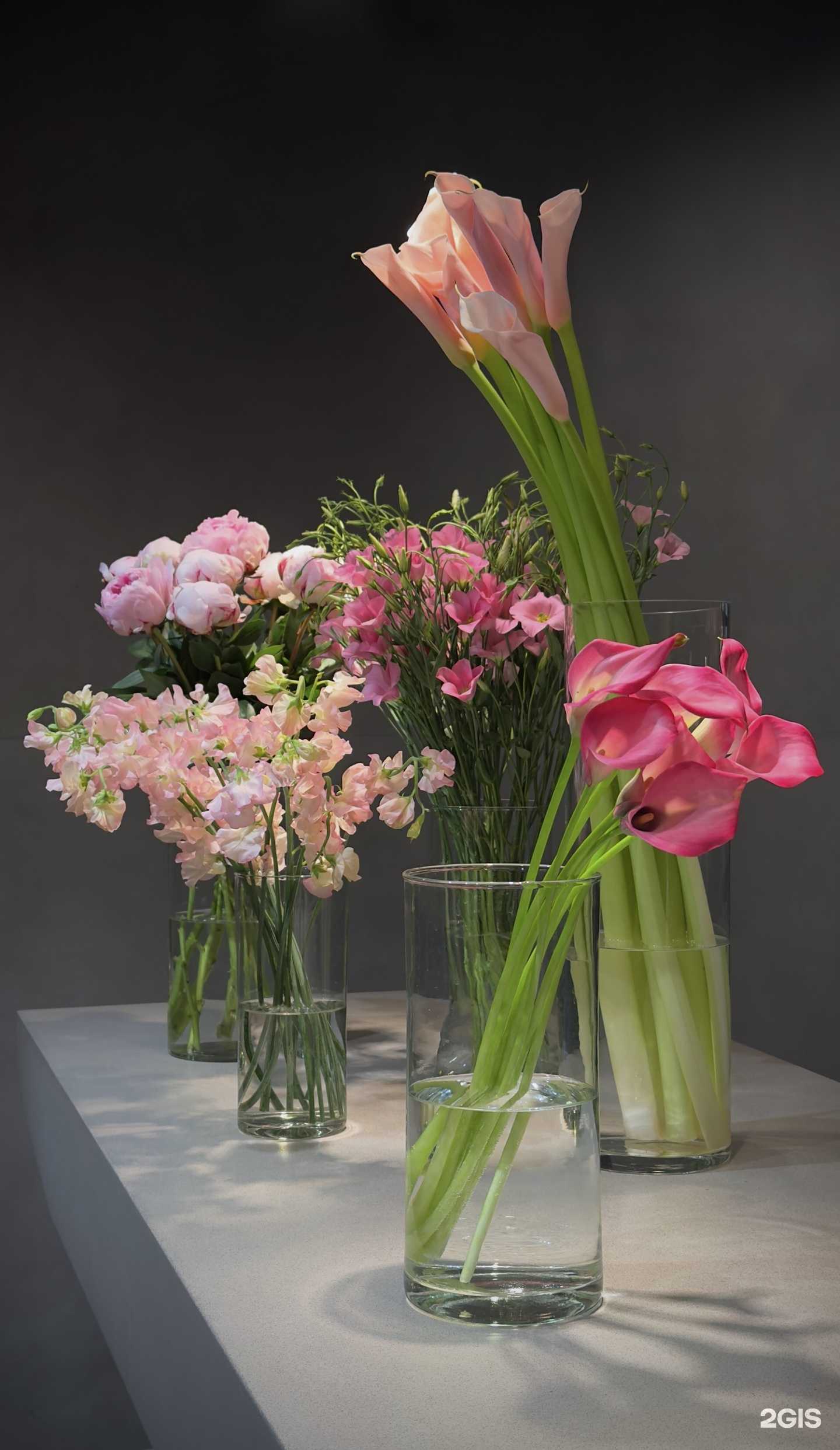 Отзывы на компанию 1850 Floral concept в Владивостоке c фото