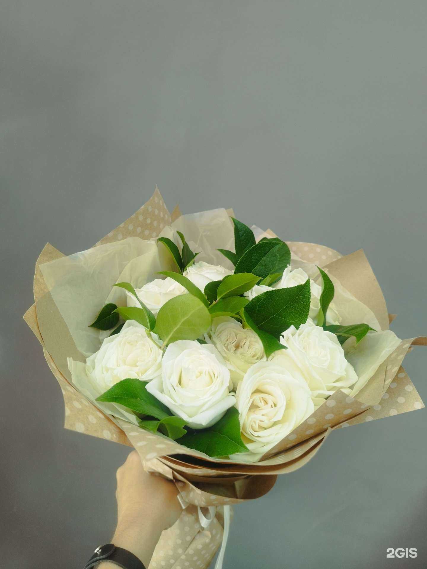 Отзывы на компанию Red Rose в Шебекине c фото