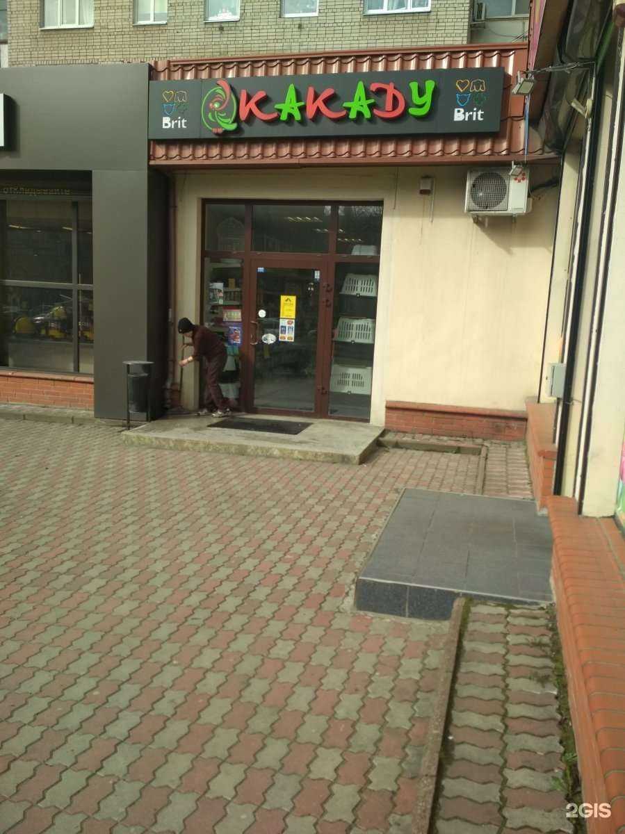 Отзывы на компанию Какаду в Калининграде c фото