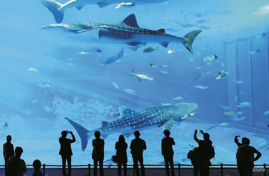 Отзывы на компанию Лит в г. Долгопрудный c фото