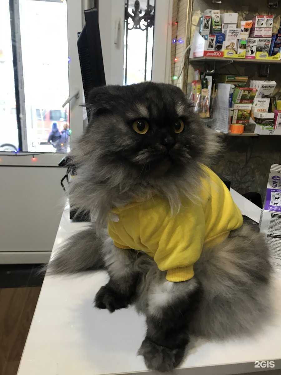 Отзывы на компанию ZOOрум в Махачкале c фото