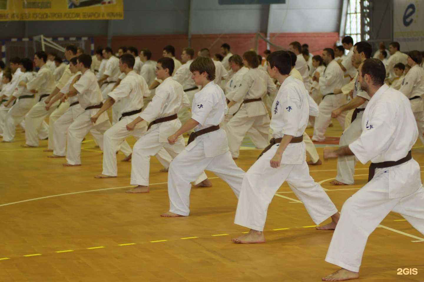 Отзывы на компанию Киокусинкай в г. Волжский c фото