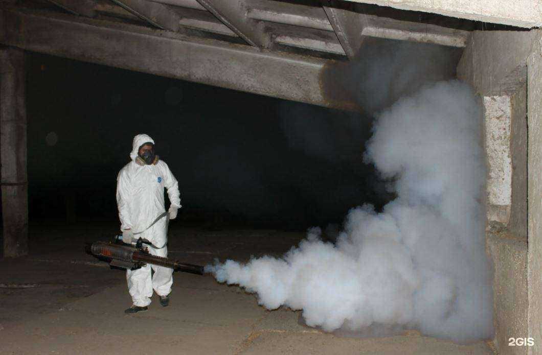 Отзывы на компанию Служба дезинфекции и клининга в Саратове c фото