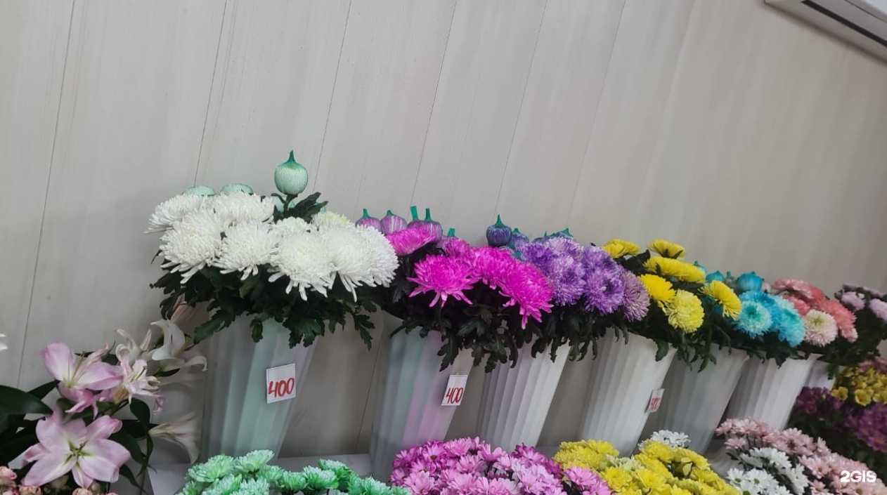 Отзывы на компанию Магнолия в Находке c фото