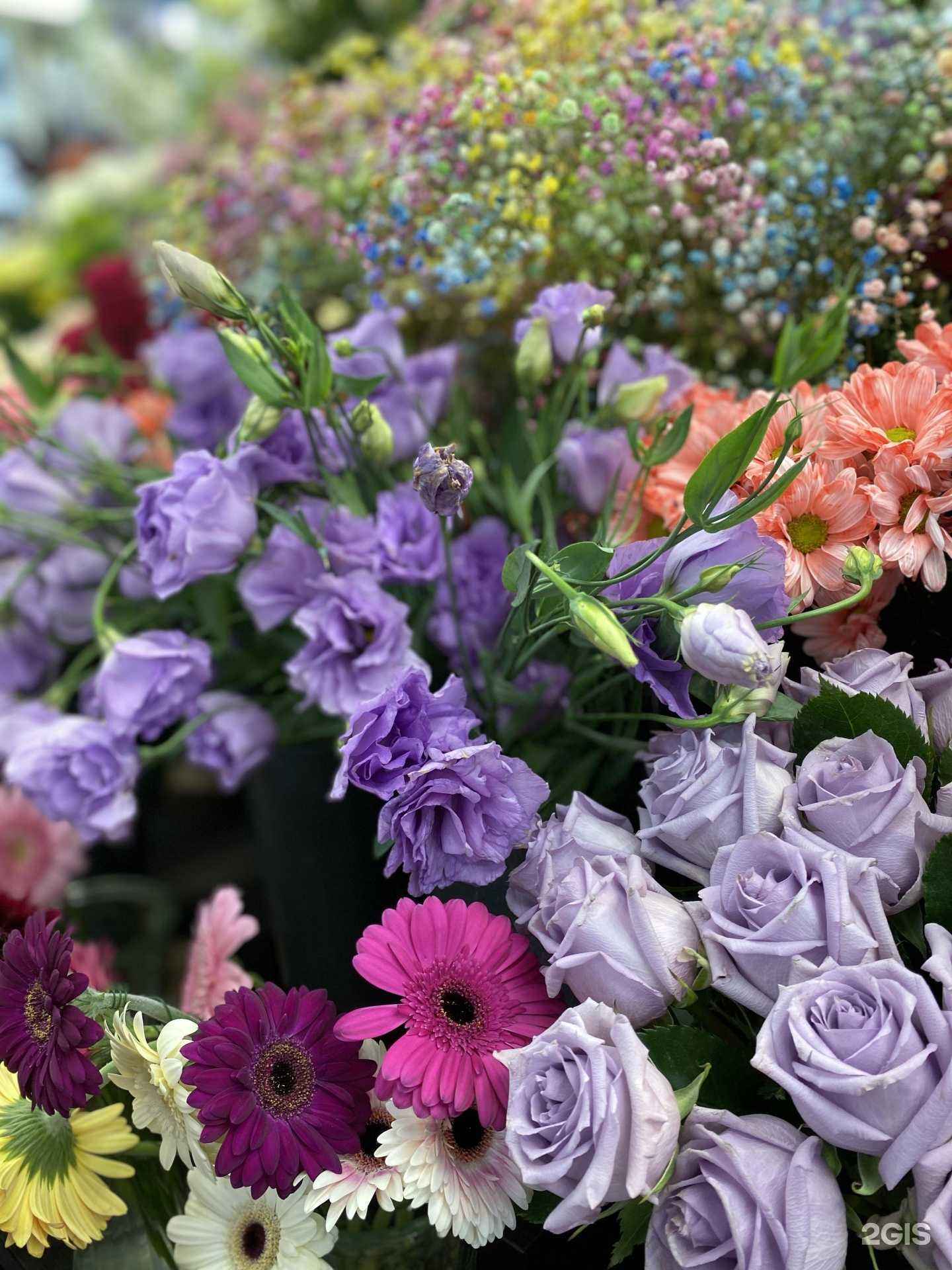 Отзывы на компанию Sun Green в Саратове c фото