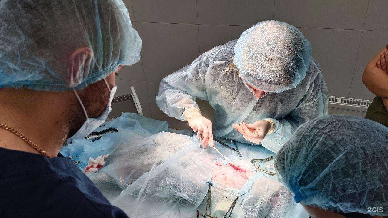 Отзывы на компанию Панацея в г. Челябинск c фото