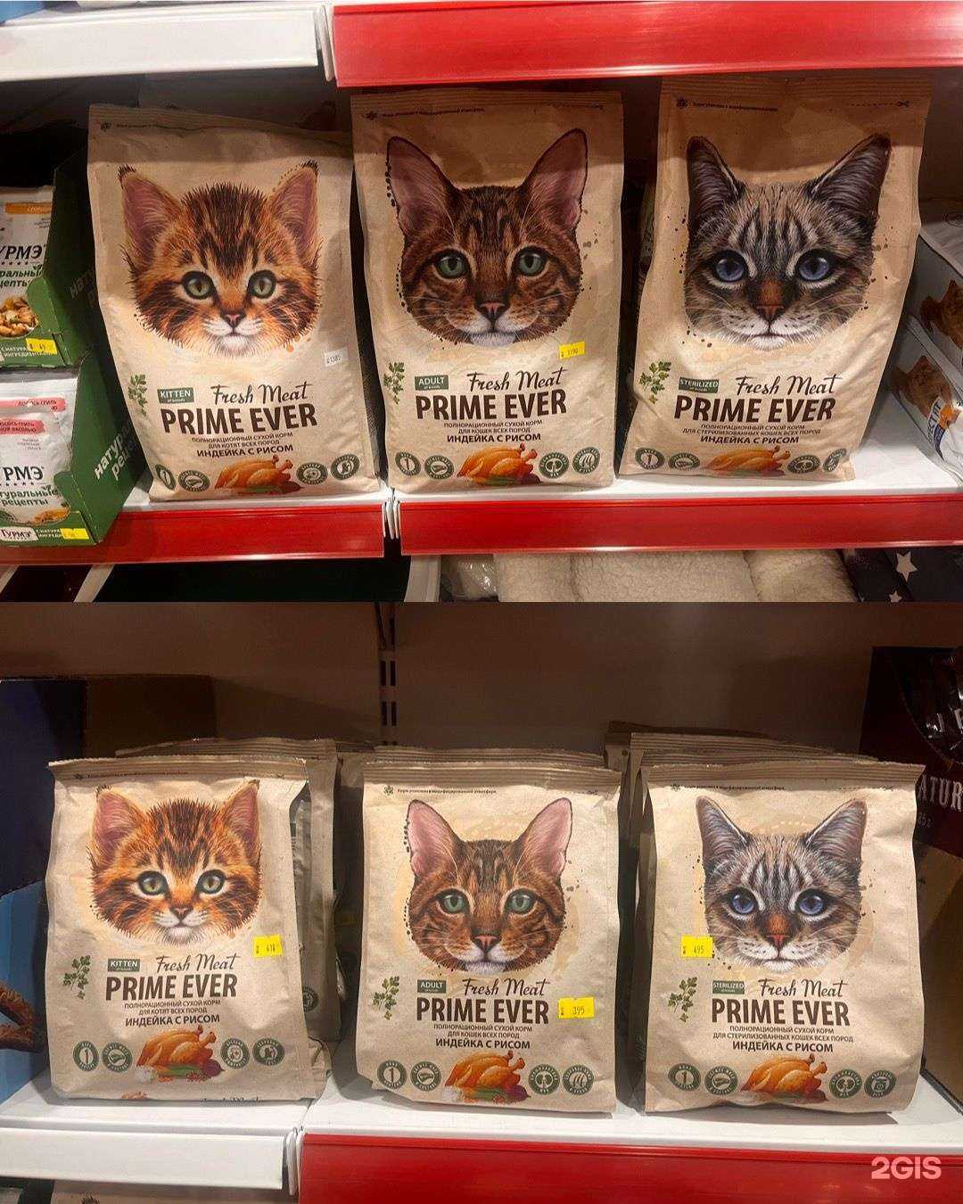 Отзывы на компанию Буся в г. Петропавловск-Камчатский c фото