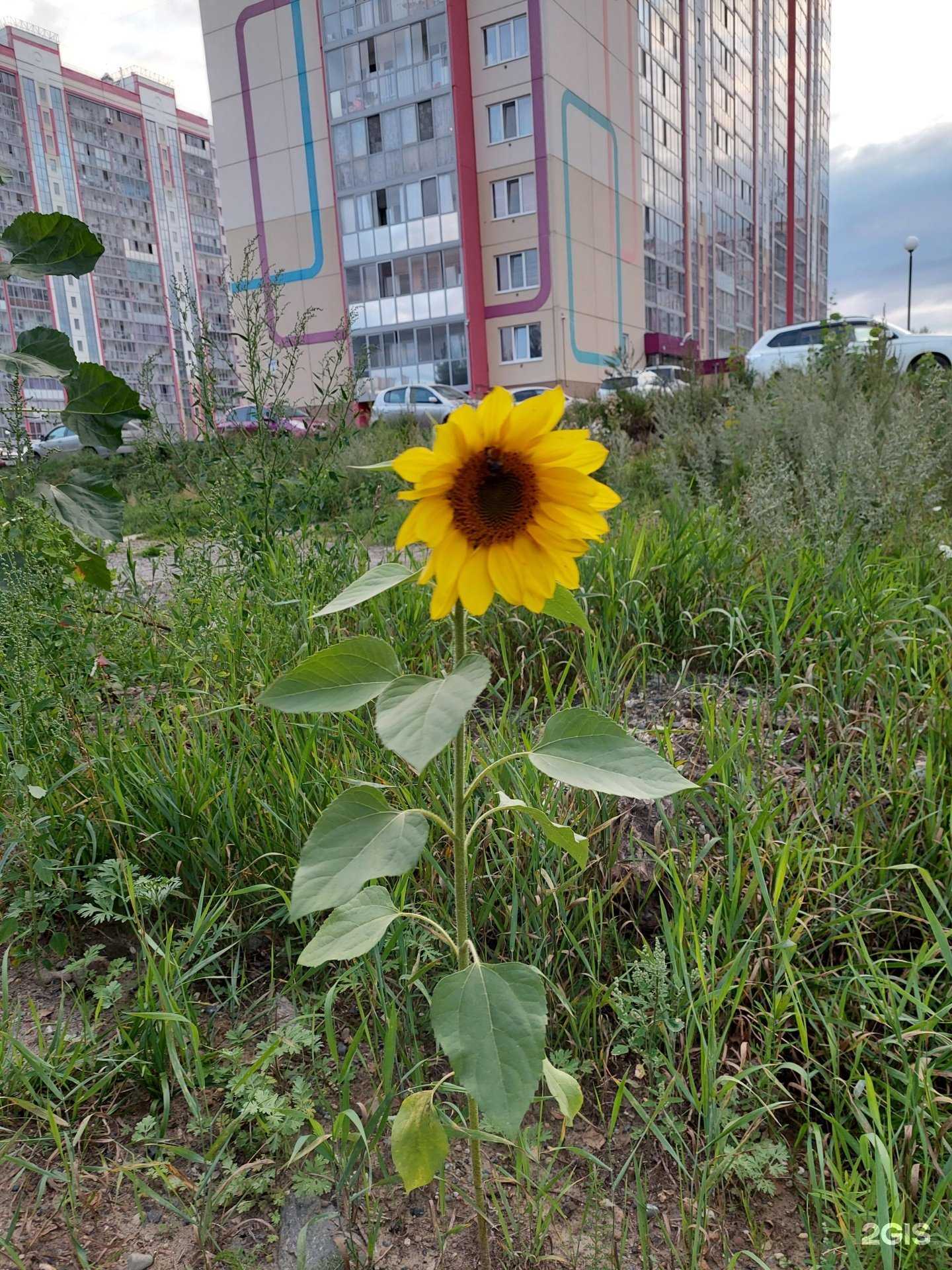 Отзывы на компанию Третий кран в Северске c фото - фотография 2 из 2