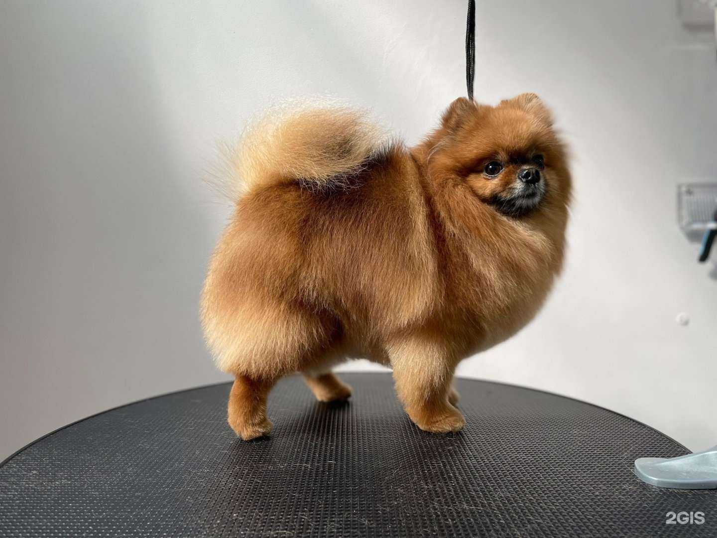 Отзывы на компанию Мико в Иванове c фото