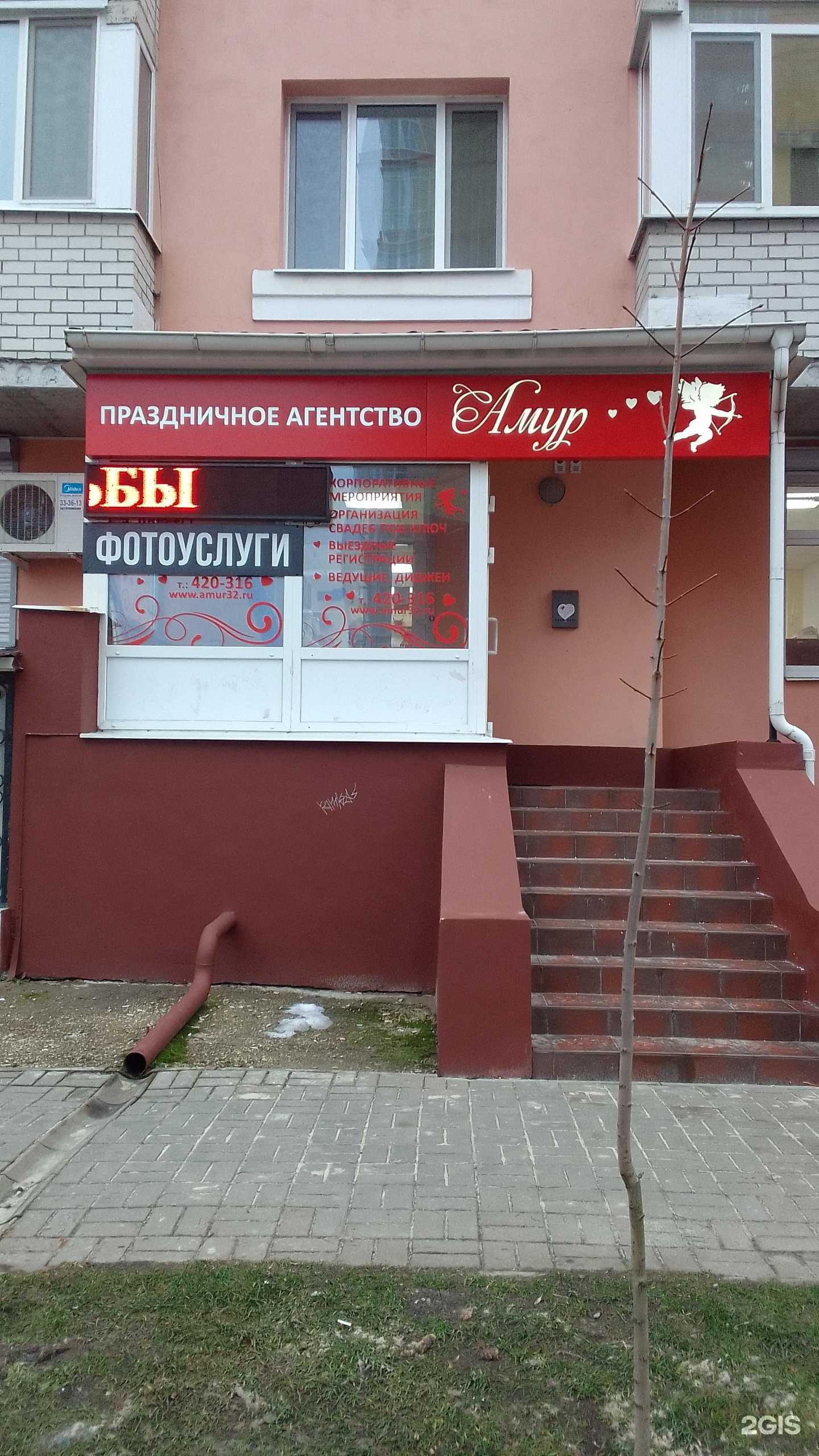 Отзывы на компанию Вилли кот в Брянске c фото