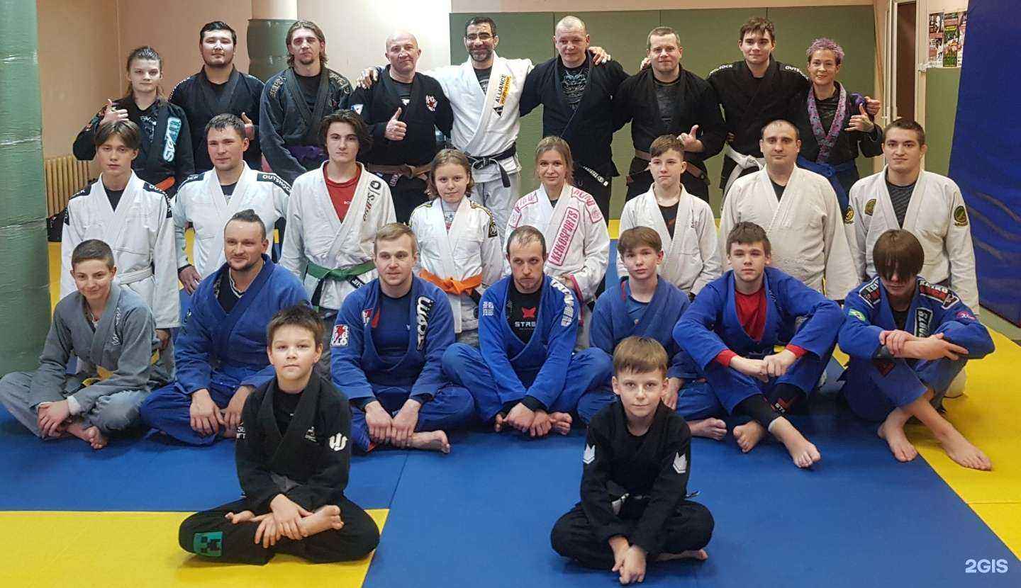 Отзывы на компанию Ludus Alliance Ryazan в Рязани c фото