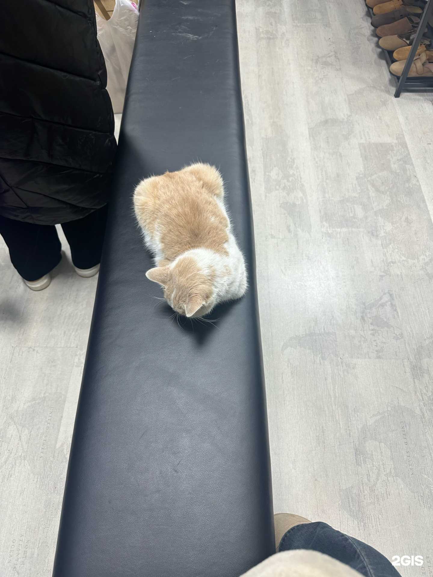 Отзывы на компанию Modashop в Махачкале c фото