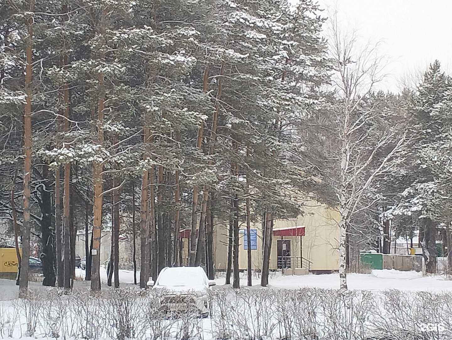 Отзывы на компанию Пункт коллективного доступа сдачи налоговой отчетности в г. Сургут c фото