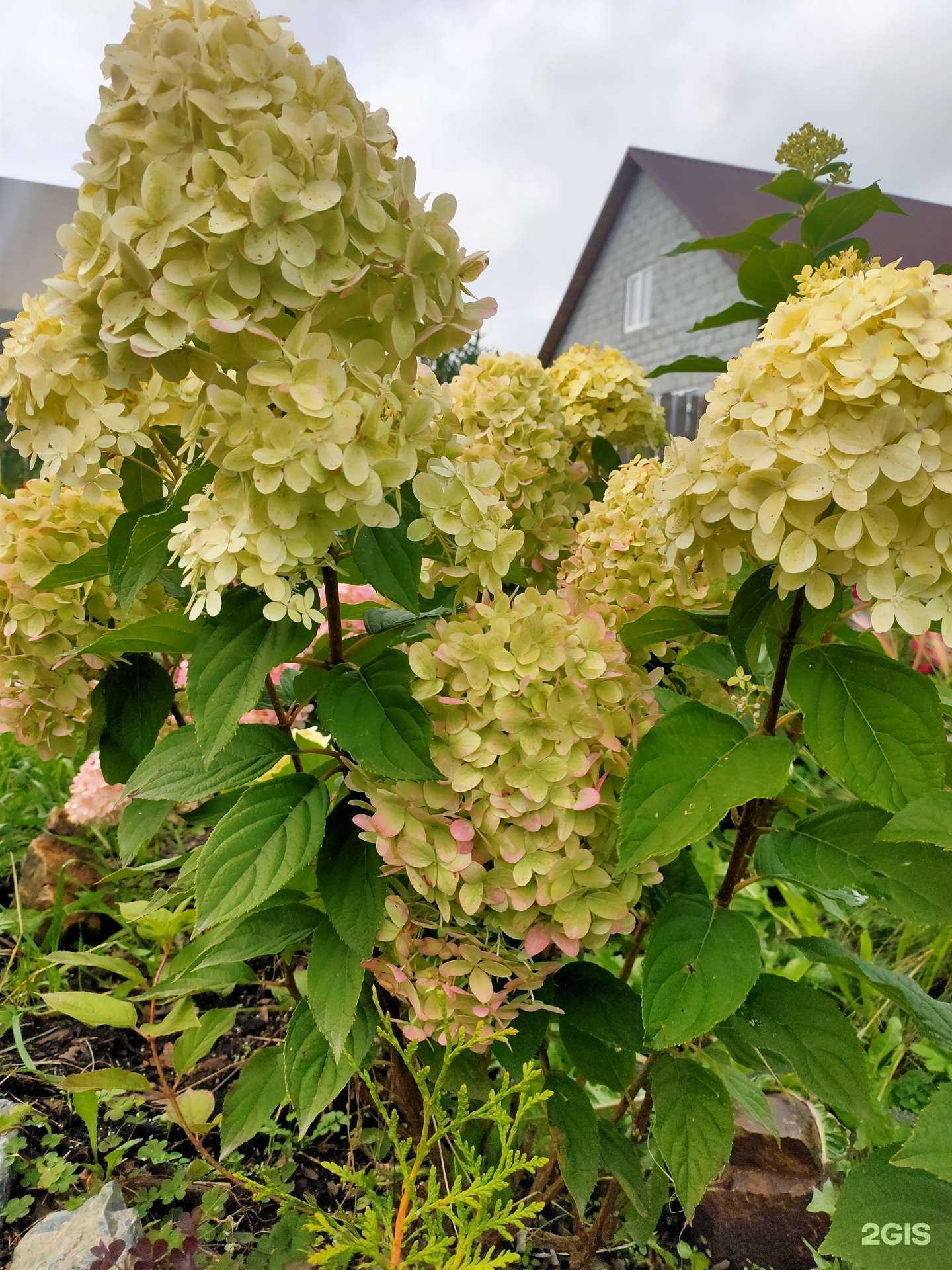 Отзывы на компанию Дриада в Екатеринбурге c фото