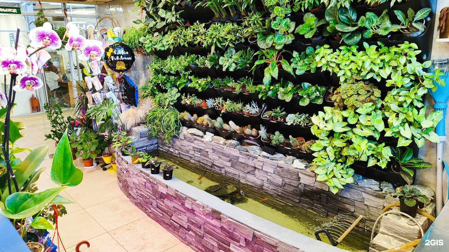 Отзывы на компанию Цвет&торг в Сертолове c фото