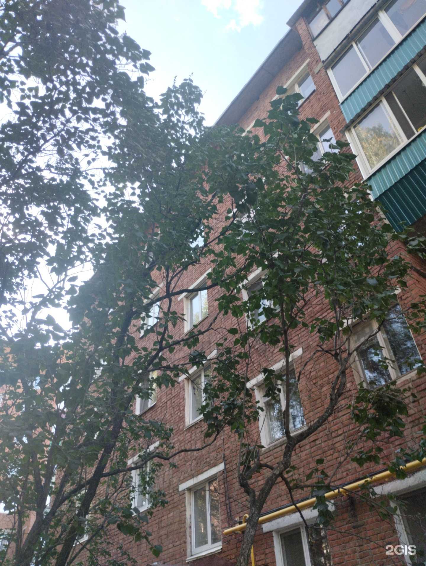 Отзывы на компанию Lingua Master в Сарапуле c фото - фотография 2 из 2