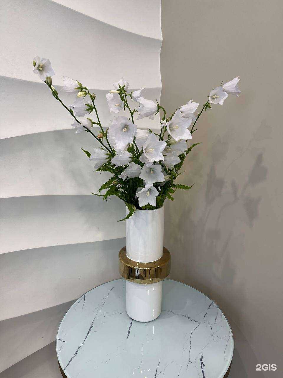 Отзывы на компанию O`Nega в г. Иваново c фото